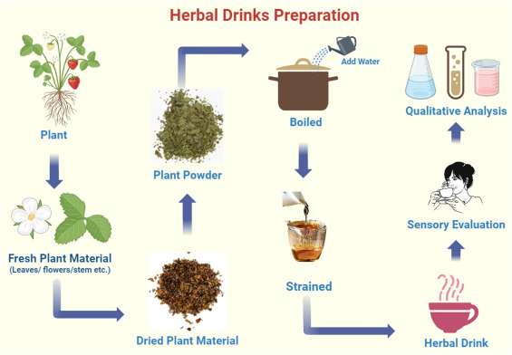 Uncover Perillas benefits and effects now. (See how this natural herb can easily improve your daily life!)