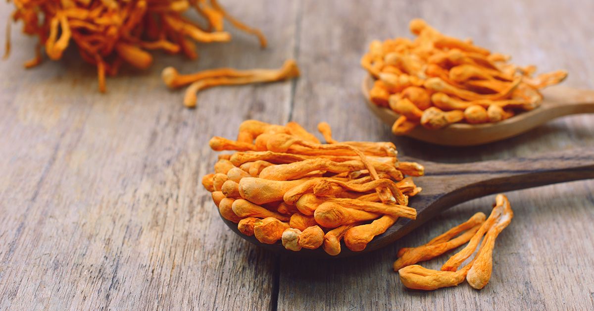 Are Cordyceps benefits just a trend? We reveal the actual advantages this ancient remedy offers for wellness!