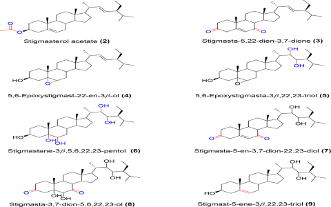 Typhonium Rhizomes efficacy and functions: Which health benefits are the most helpful for you?