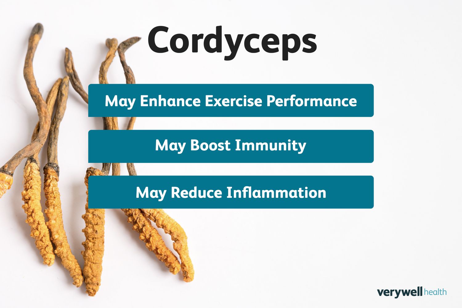 Are Cordyceps benefits just a trend? We reveal the actual advantages this ancient remedy offers for wellness!