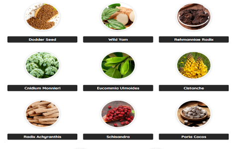 Why consider Poria Cocos Benefits? (See how it improves your daily health and energy levels naturally)