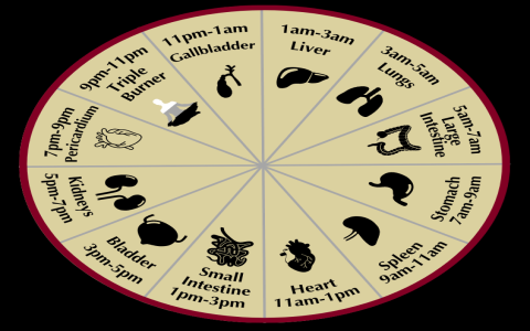 Cassia Seed Benefits and Uses: Whats good to know? Get these simple tips for your everyday health.