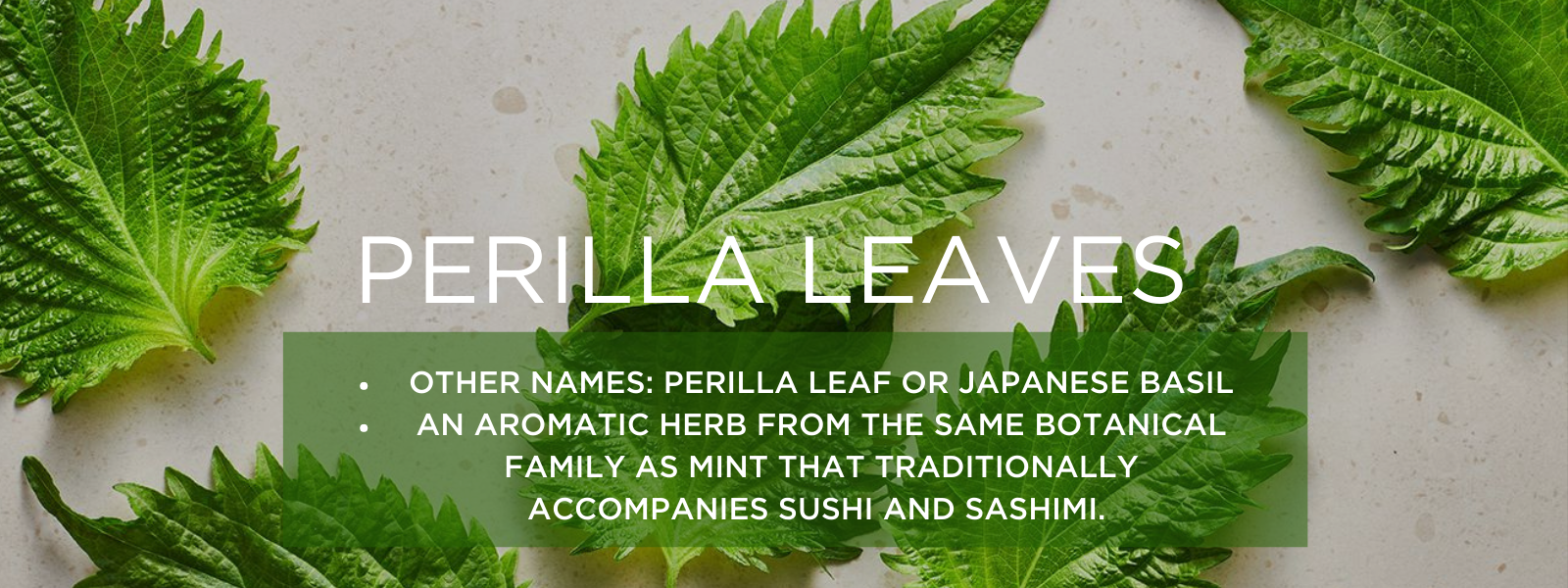 The Real Deal on Perilla Leaf Benefits and Effects (Easy Tips for Using This Healthy Leaf)