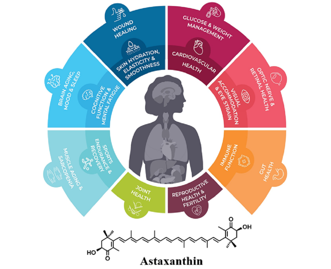 Why know Guang Huo Xiangs efficacy and functions? It can greatly improve your daily well being starting today!