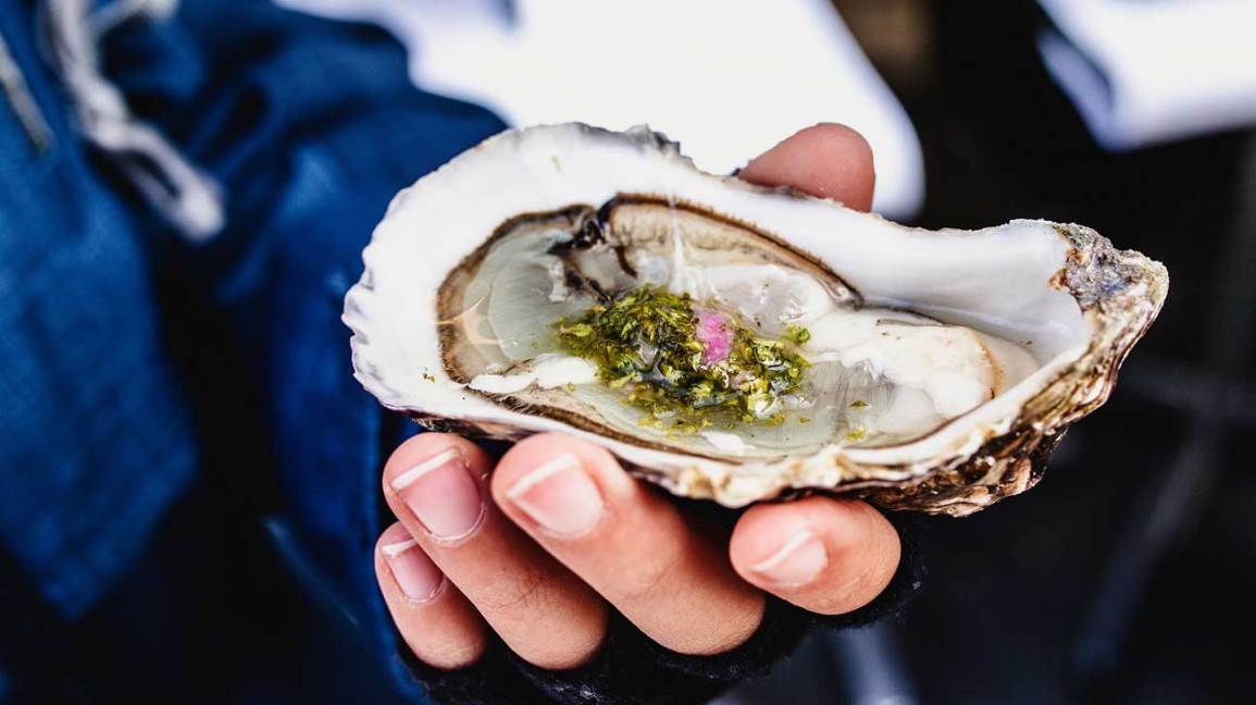 Looking for oyster benefits and effects? Find out how this superfood can really boost your daily health and well being.