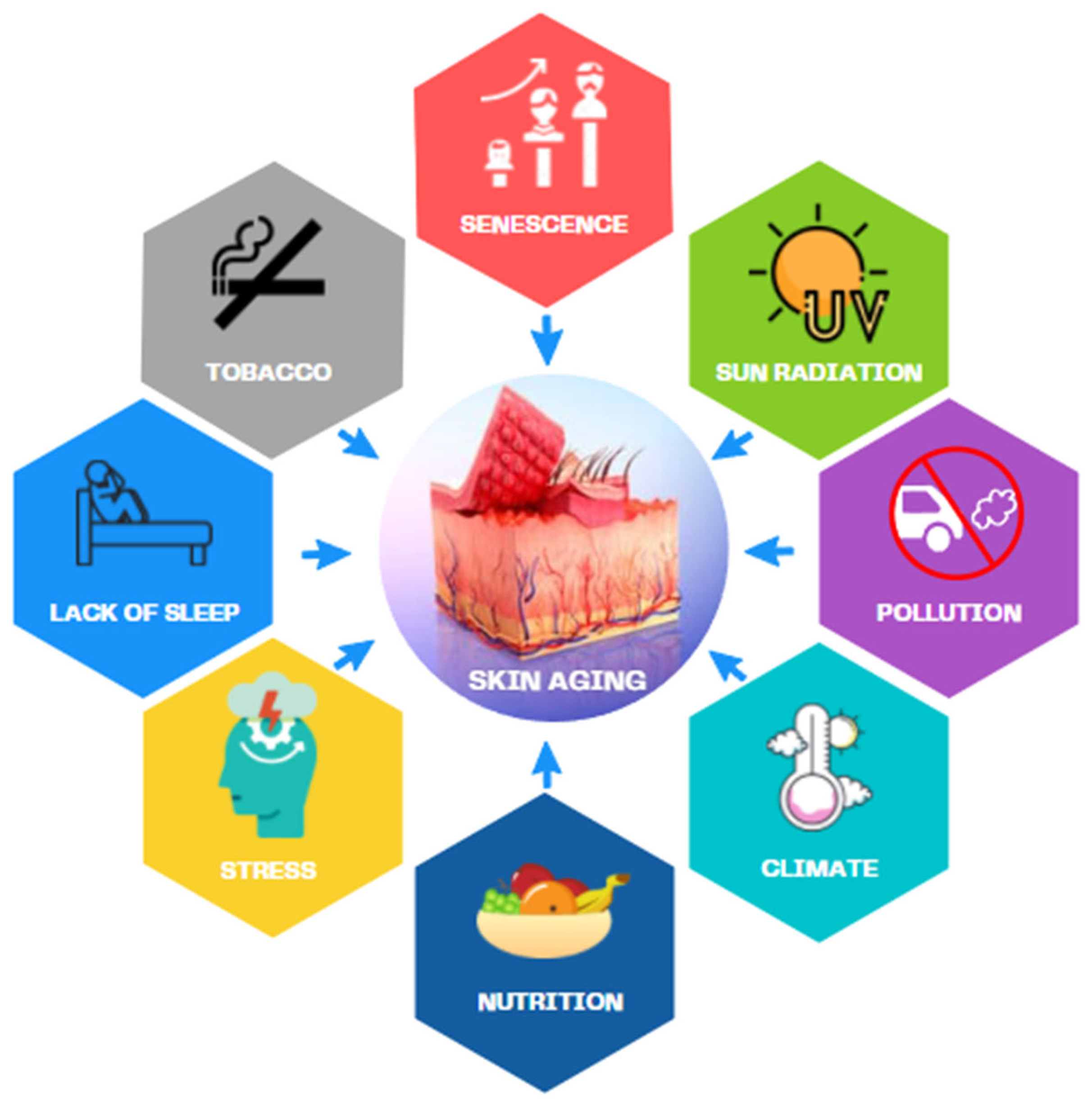 What are Ze Xies benefits and uses good for? Heres a helpful list of common applications.