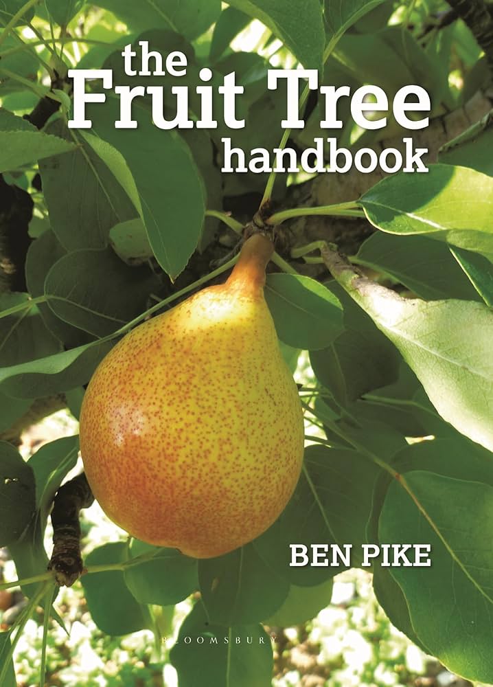 How to use Iron Tree Fruit for Benefits and Effects? Follow our simple guide for safe and proper use.