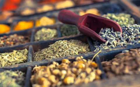 Learn the main Gentian Root Effects and Benefits. Here is what this plant does for your body.