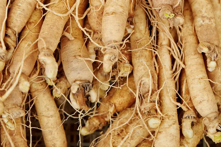 Ginseng: Feel Good? (Eat Smart)
