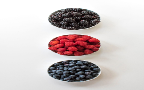 Blackberry Lily benefits and effects: Are they really that good? Here is the simple truth.