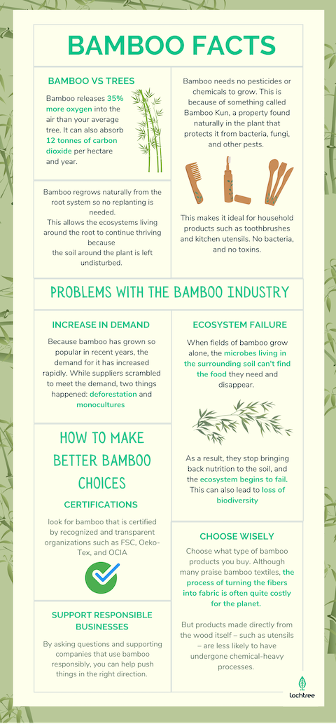 What are Bamboo Shavings Benefits and Effects? Discover its amazing health facts and simple uses now.