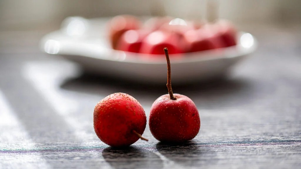 Hawthorns Benefits and Effects: Are they good for everyone? (Find out who can benefit most easily)