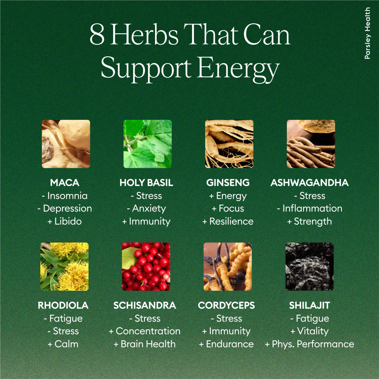 How to get the best from Gusuibus effects and uses? Old tips for using this herb right.