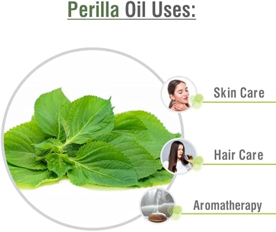 The Real Deal on Perilla Leaf Benefits and Effects (Easy Tips for Using This Healthy Leaf)