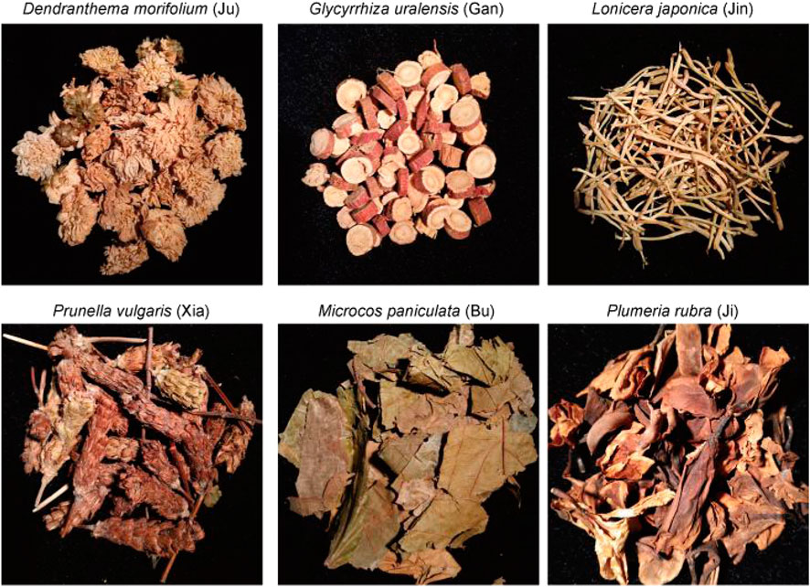 Learn all about Huo Xiangs benefits and uses today! This simple, natural herb offers so much for your well being.