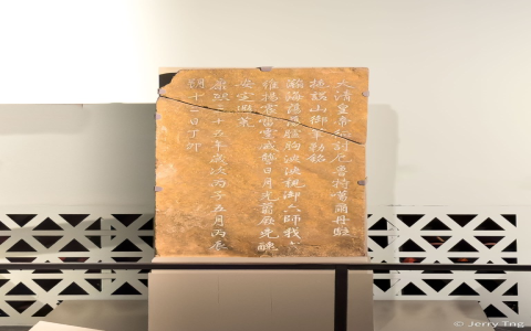 Discover Qing Ban Xias Effects and Functions. You might be surprised by what it does!