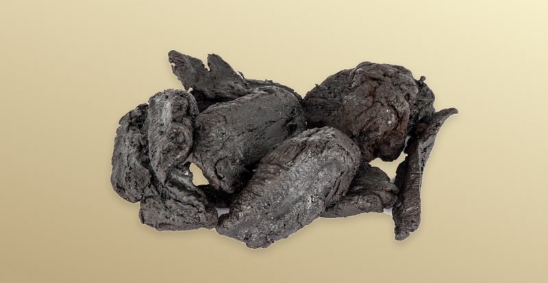 Rehmannia Root Benefits and Uses: What are they and how can this amazing herb help you?