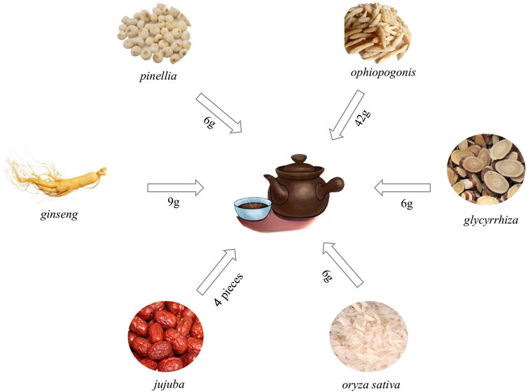 What are Maidongs benefits and effects? (Learn how this simple herb helps your body now)