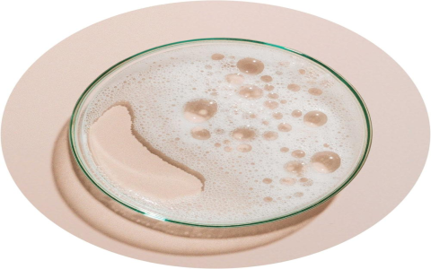 Phellodendron Bark for Better Health: Explore its powerful functions and common everyday uses.