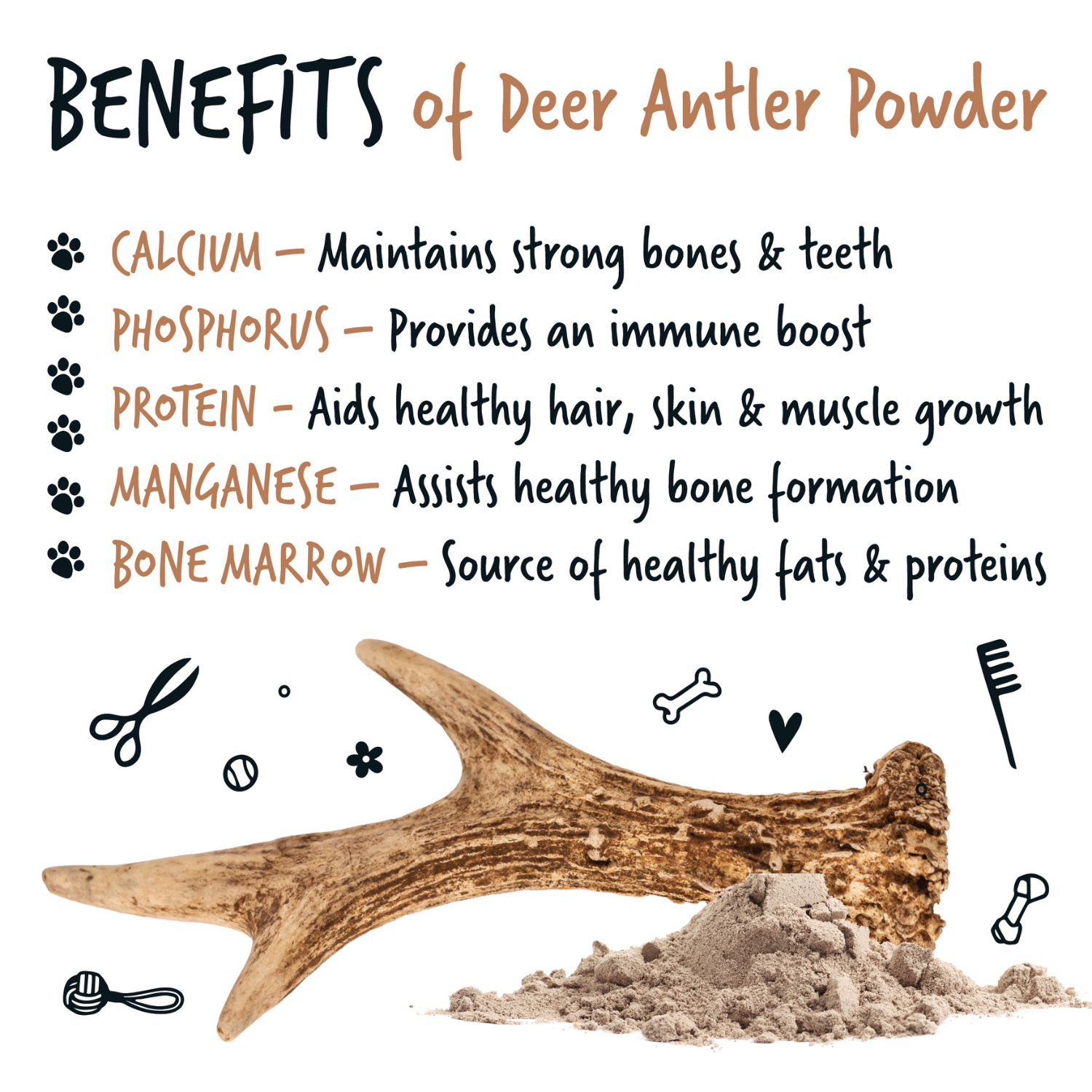 Deer Antler Benefits: Why Are They So Good? (Experts clearly explain the main powerful health advantages)