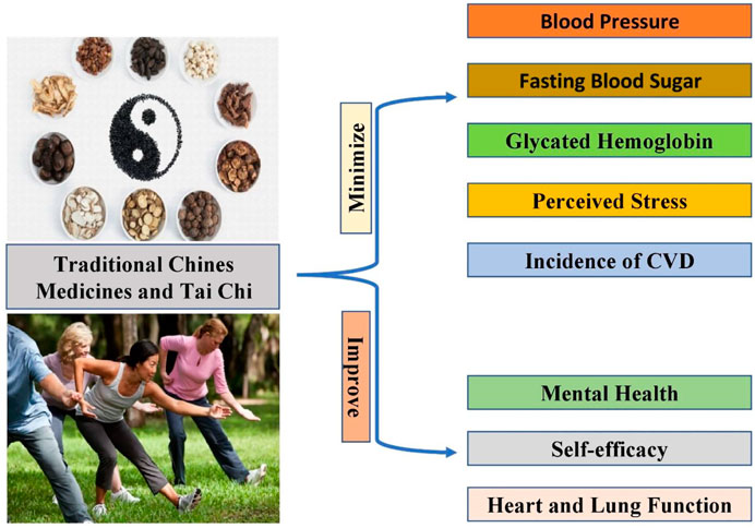 Discover Chishizhis Efficacy and Function: How This Traditional Remedy Works Wonders for Your Health.
