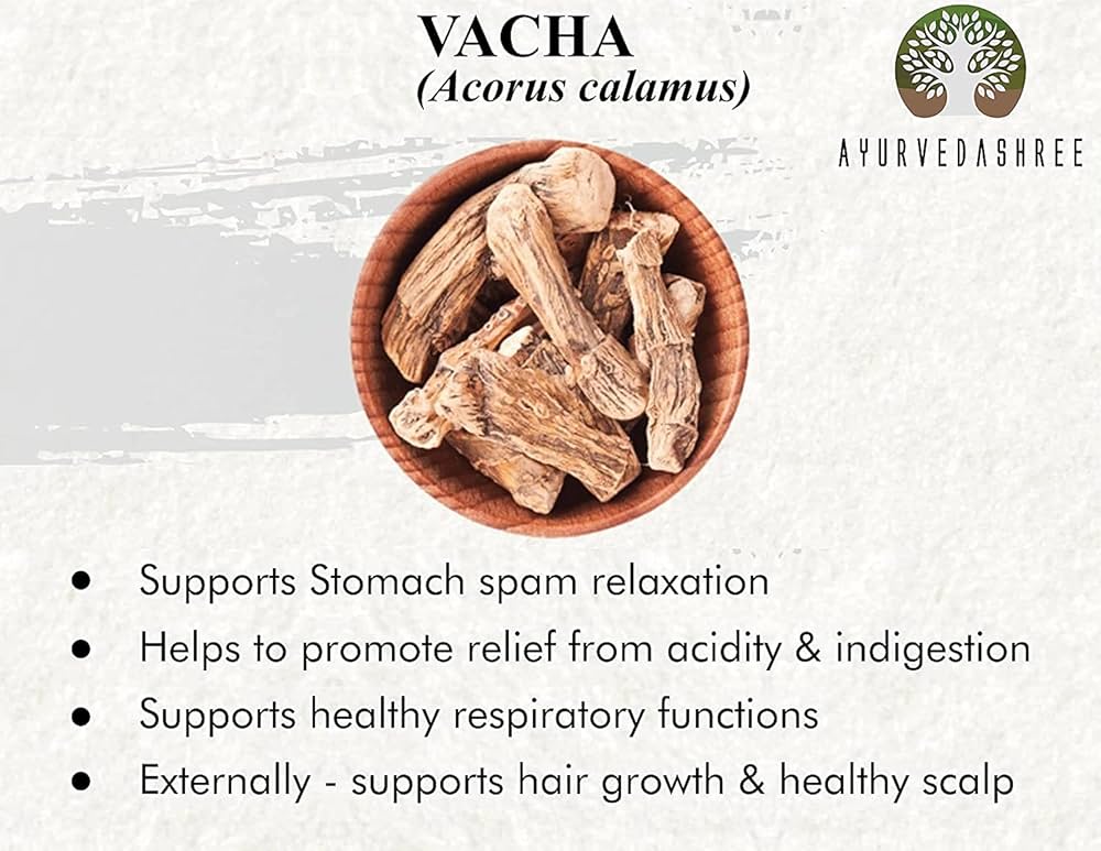 What are the Acorus Calamus benefits? Discover its many amazing health advantages for you.