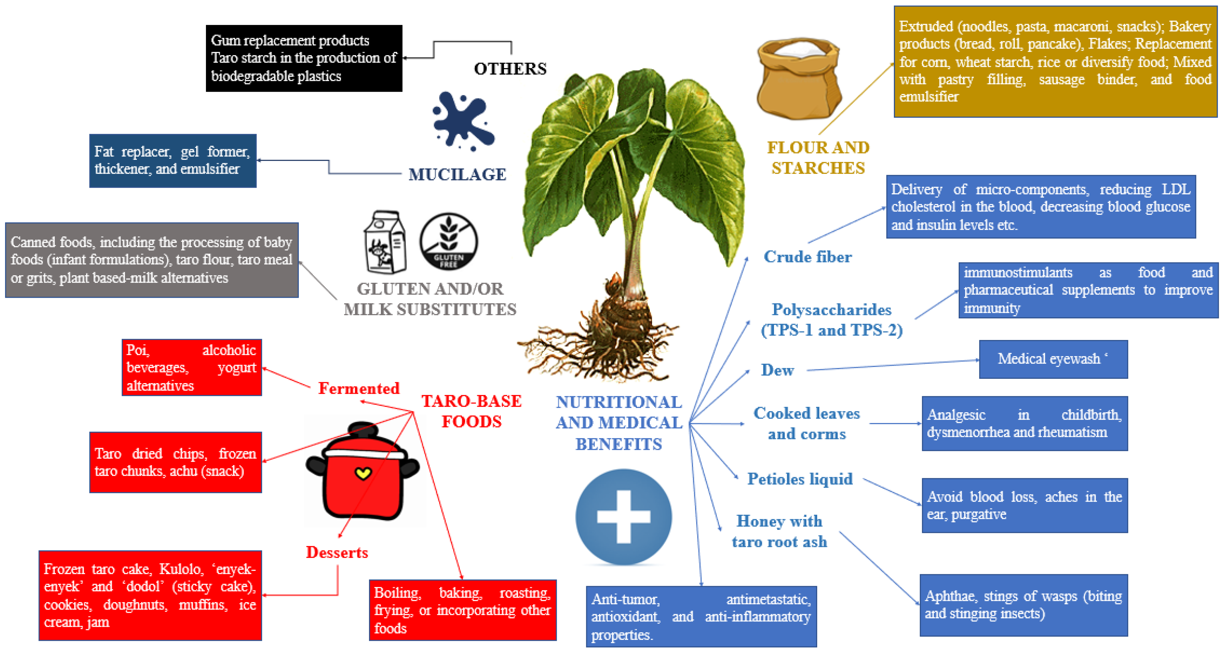 What are Stemona Roots benefits and uses? Discover its amazing effects and how it supports your health.