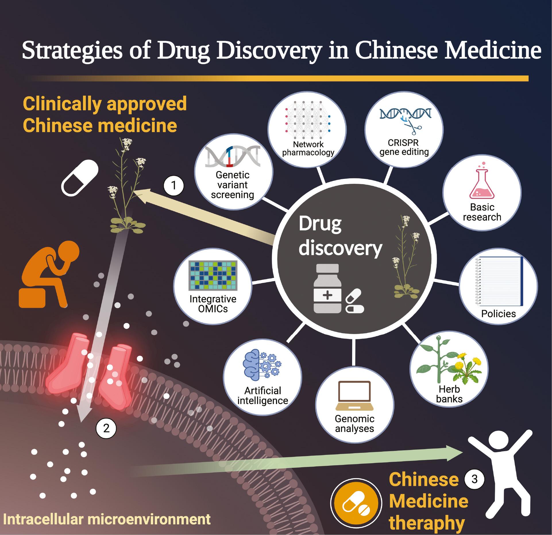 Which Zhe Bei Mu benefits and uses are best? We compare top effects to help you decide.