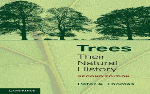 All about Gleditsia Sinensis Thorn Benefits and Effects (Your simple explainer for this traditional remedy)