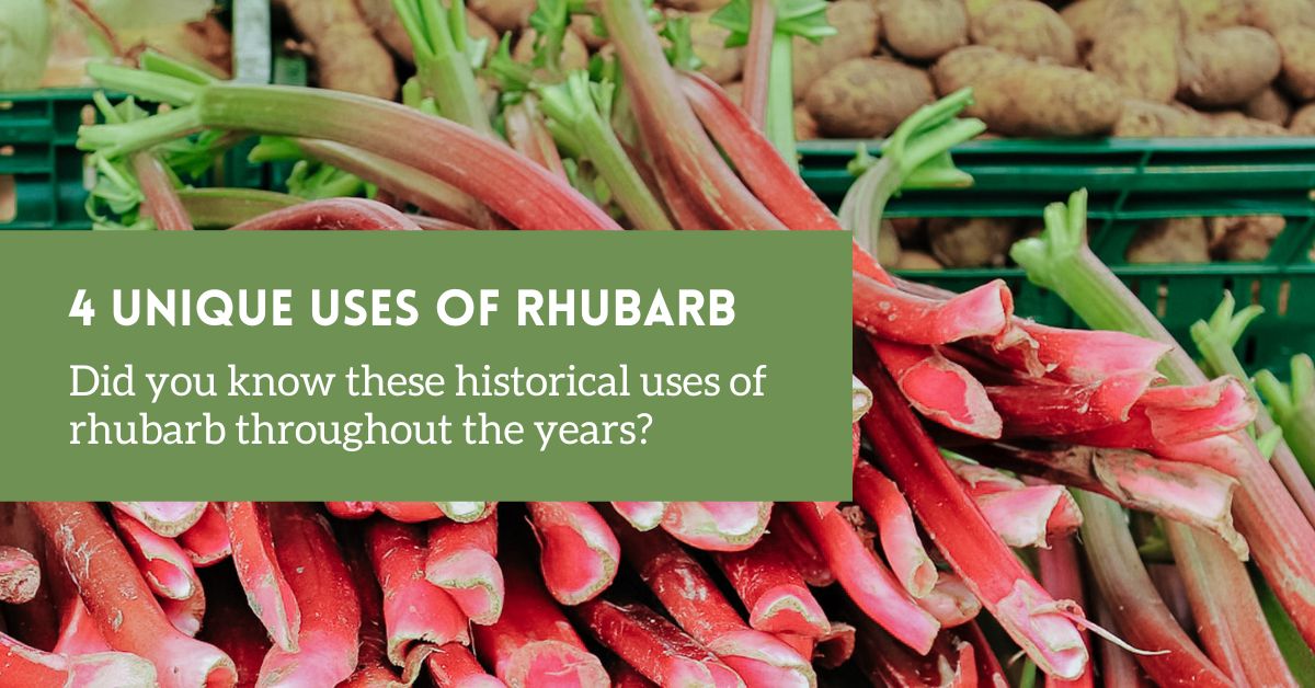Which ways show Rhubarbs efficacy and effects the best? These are the top traditional uses people trust.