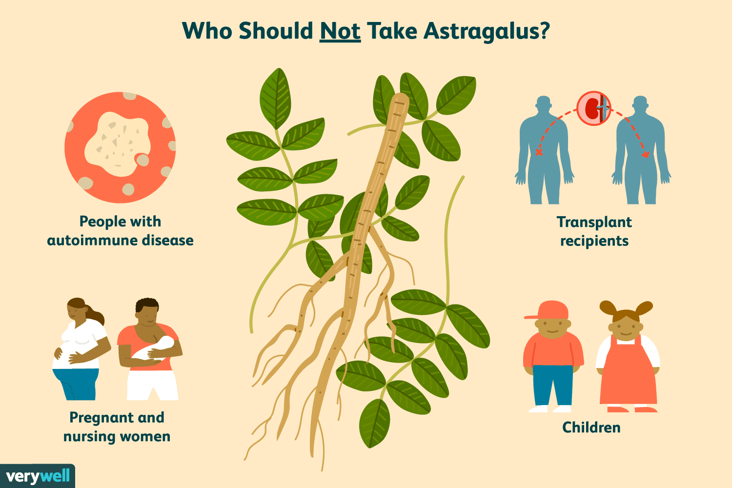 Which Astragalus benefits matter most for you? (Understand these important points to help you choose wisely for better health)