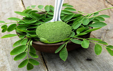 How to use Iron Tree Fruit for Benefits and Effects? Follow our simple guide for safe and proper use.