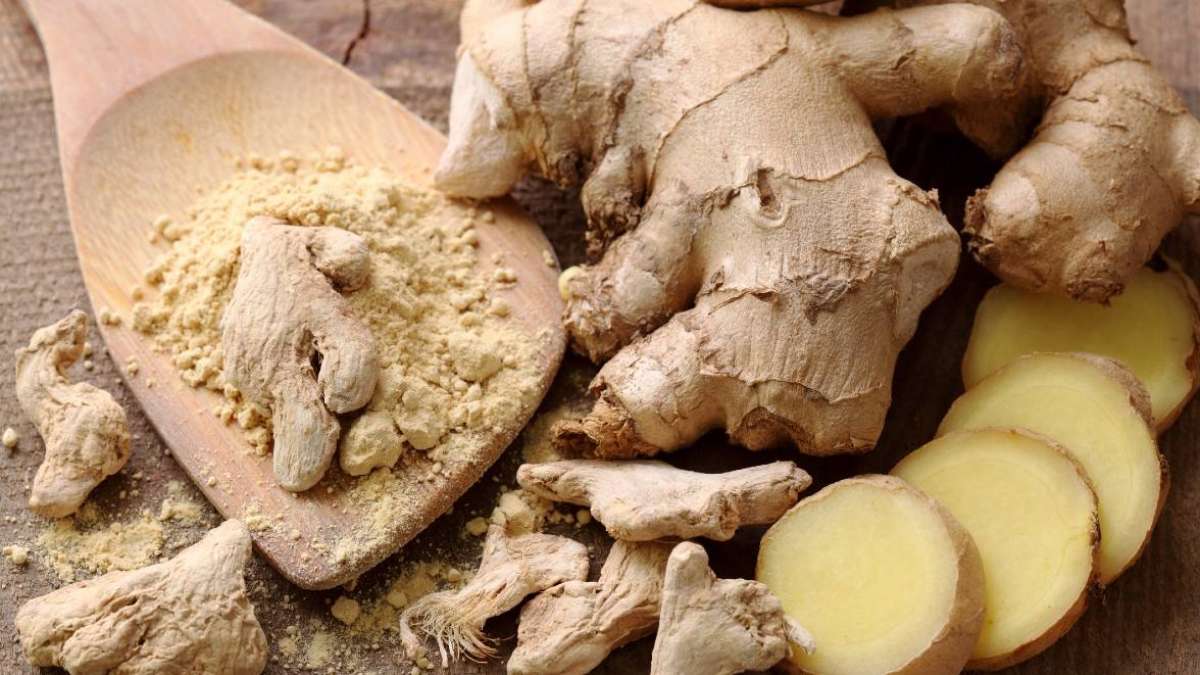 What are Dried Gingers Benefits and Uses? Discover its amazing power for your health.