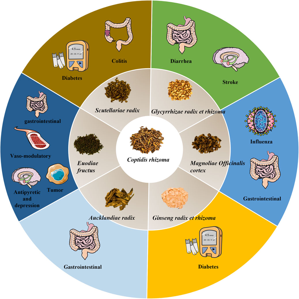 What are Xian Maos effects and benefits? Discover how this herb can help your body easily.