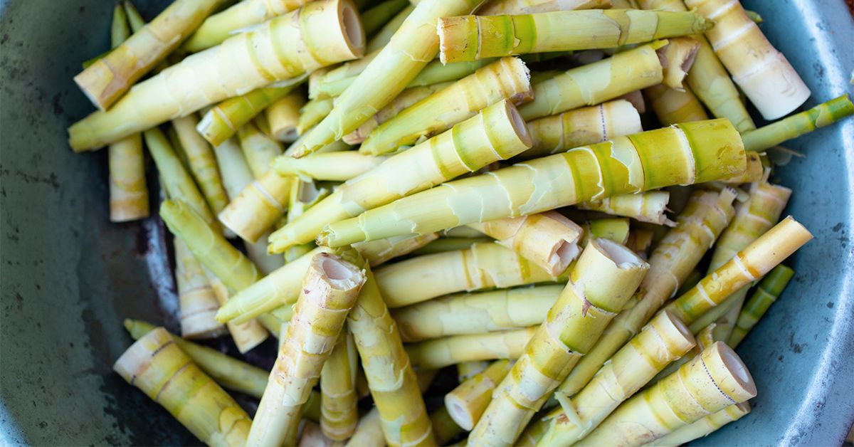 What are Bamboo Shavings Benefits and Effects? Discover its amazing health facts and simple uses now.