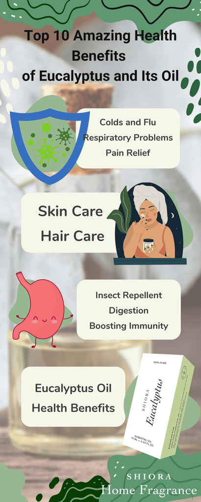 What are Gusuibus benefits and uses for your body? Discover all its truly amazing and powerful health effects today!