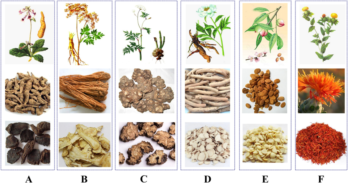 Exploring Si Jun Zi Tangs efficacy and function (What this traditional soup does for your well being)