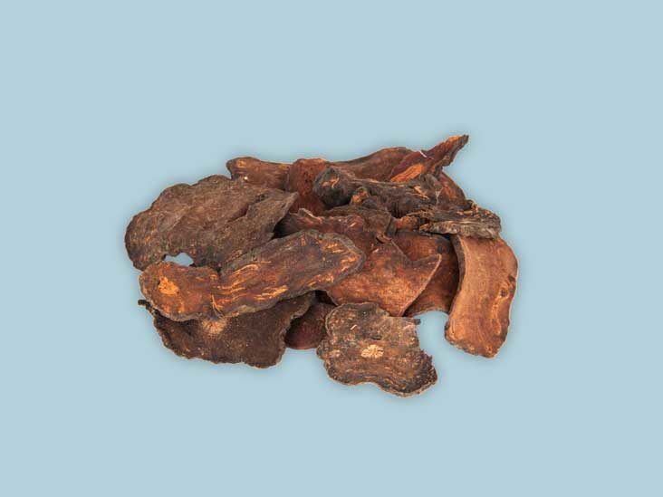 Rehmannia Root Benefits and Uses: What are they and how can this amazing herb help you?