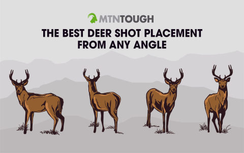 Learn Deer Antler Benefits and Effects: Simple tips for using it to boost your well being.