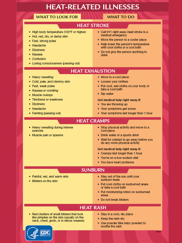 What are Rush Pith benefits and effects? (Find out its cool old uses and new health perks now)