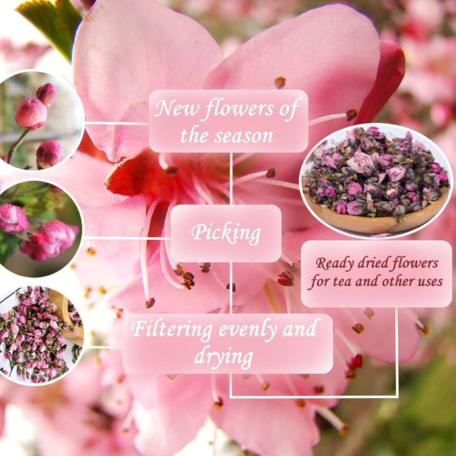 Peach Blossom: Uses and benefits for your body?