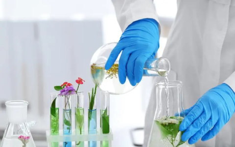 Why explore Dipsacus root benefits and uses? This knowledge can improve your daily health.