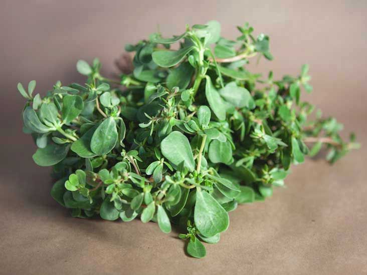 What are the benefits of purslane for you? Find out how this amazing plant helps your body feel great!