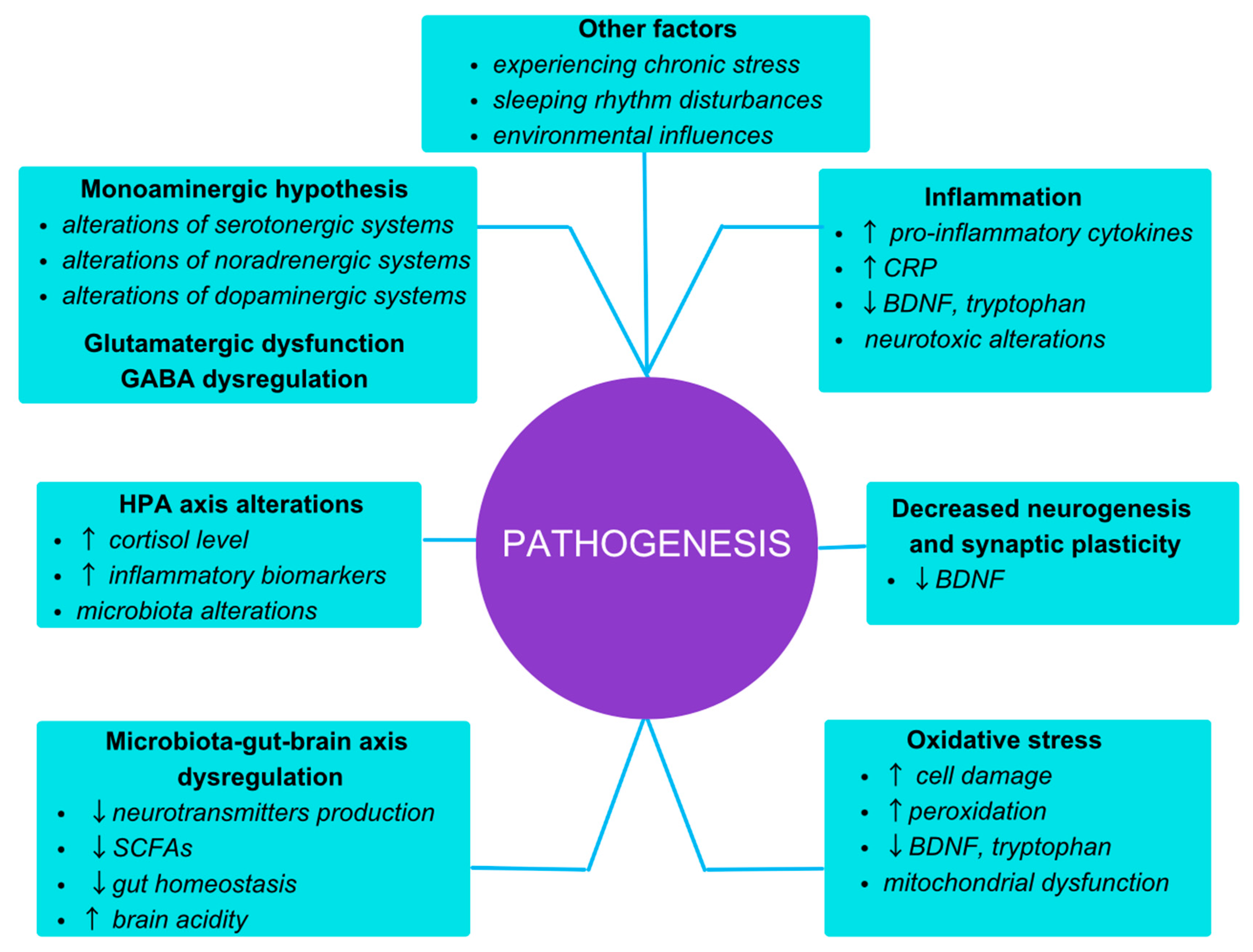 Ting Li Zis efficacy and functions: What can it do? Understand its main effects for better health.