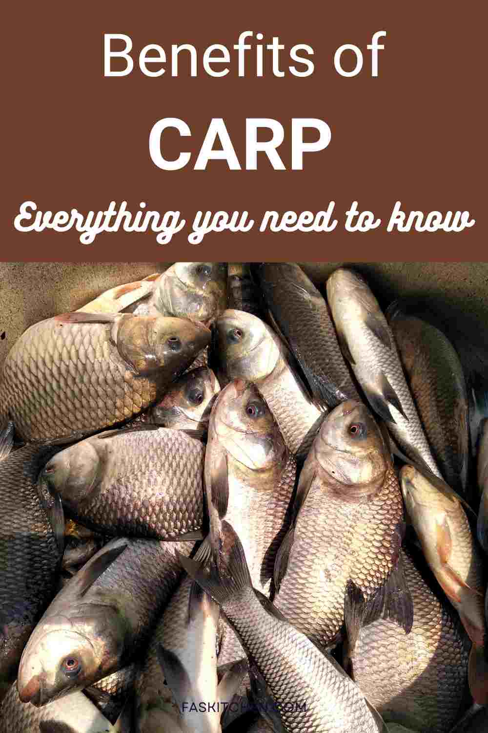 Understanding Crucian Carp Benefits and Effects: Here are simple ways this healthy fish boosts your daily well being.