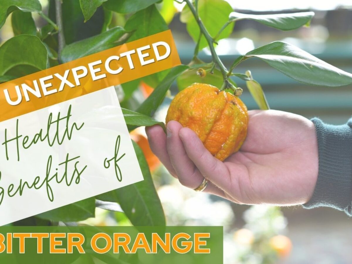 What are Bitter Oranges effects? (3 key functions you need to know!)
