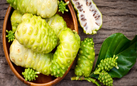 How good are Morinda roots effects and benefits for you? Learn how to easily boost your energy and overall body wellness.