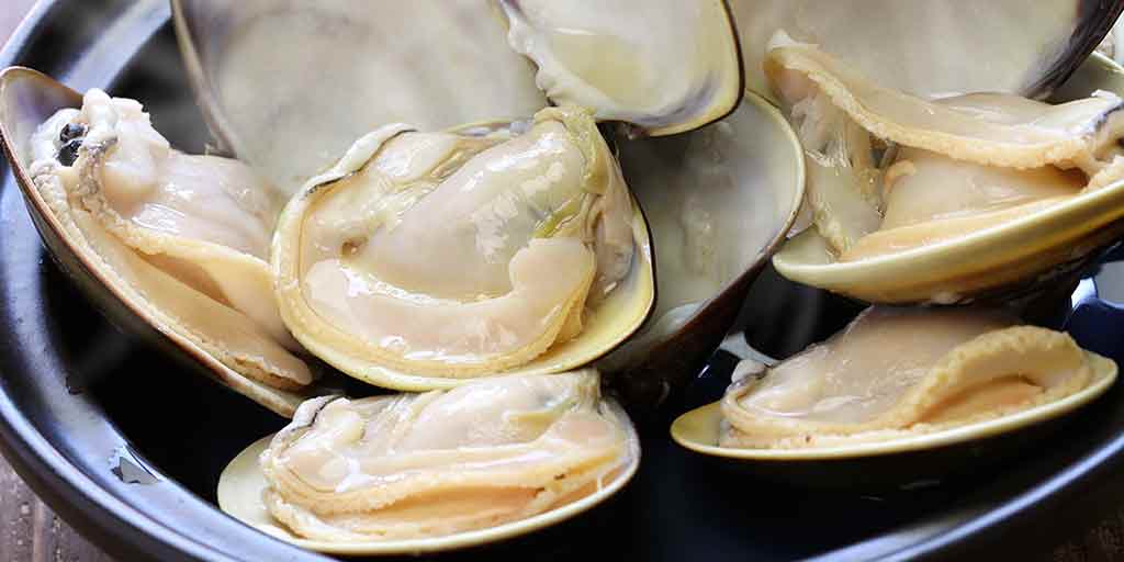 Maximizing Health: Benefits of Using Calcined Ark Clam Shell