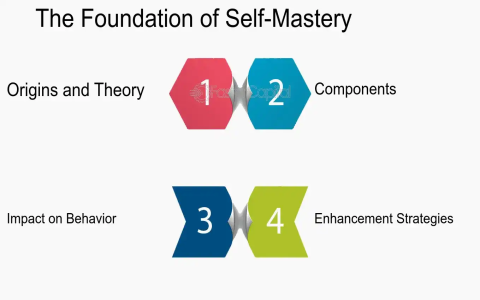Shenqus efficacy and functions: how do they help? Learn its simple uses for feeling better.