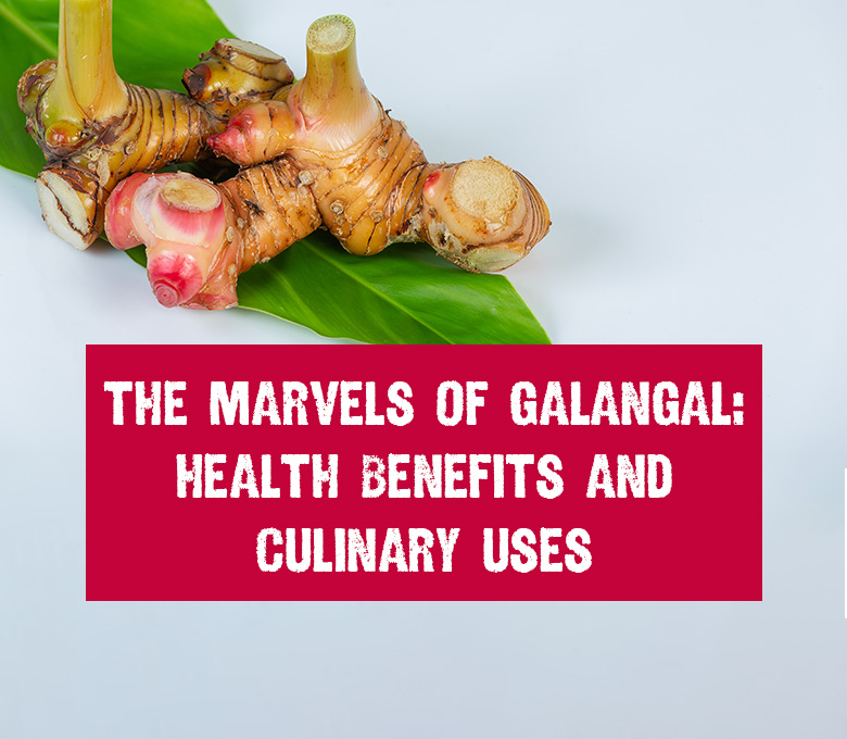 How can Galangal Benefits and Uses improve your health? Learn simple ways to use it every day.